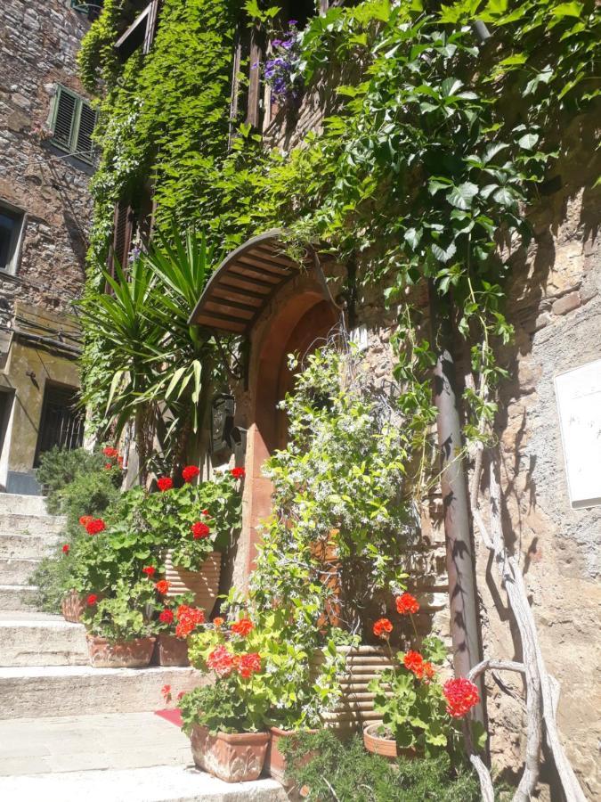 La Piazzetta Toscana B&B Campiglia Marittima Kültér fotó